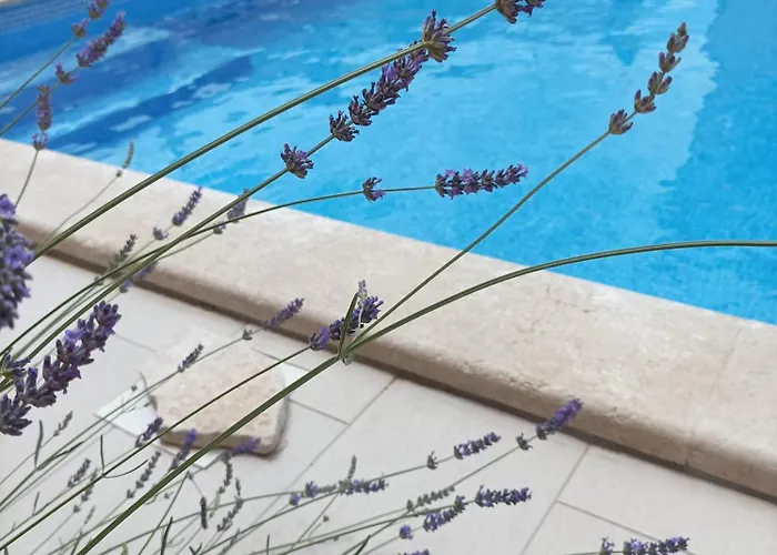 Prázdninový dům House Monte Cherpo *