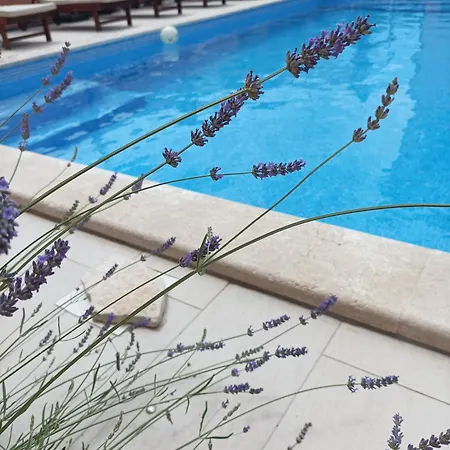 Casa de Férias House Monte Cherpo *