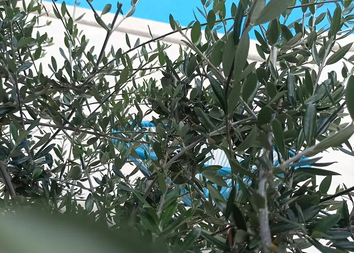 House Monte Cherpo פולה